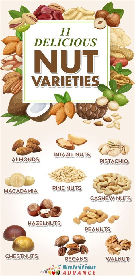 Types Of Nuts How Do They Compare Walnuts Nutrition Nutrition