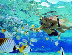 Paradise Snorkeling Cancun | Snorkeling Tours | Cancun Snorkeling