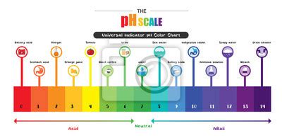 A Escala De Ph Indicador Universal Ph Diagrama De Diagrama De