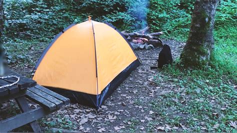 I Fuck A Hot Beauty With A Gorgeous Ass In The Forest XNXX