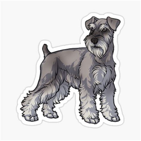 Schnauzer Gifts Merchandise Redbubble