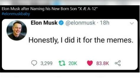 14 Great Elon Musk Memes That Will Make You Wet Yourself!