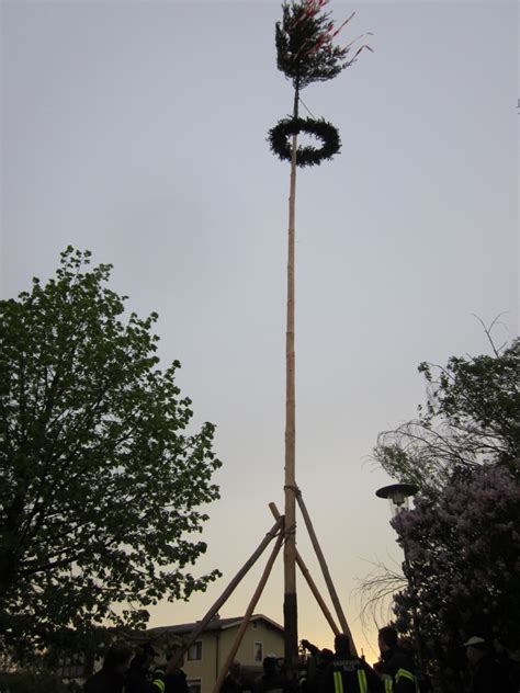 Maibaum Aufstellen Freiwillige Feuerwehr Rust