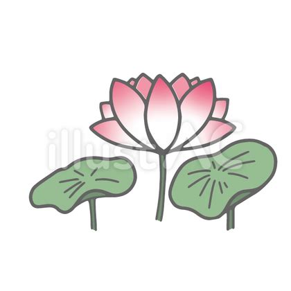 蓮イラスト - No: 23975139｜無料イラスト・フリー素材なら「イラストAC」