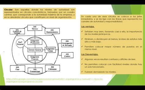 Organigrama Circular Organigramas Y Tipos Pinterest Hot Sex Picture