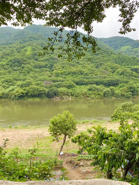 하동 구례 1박2일 여행코스 숙소부터 인스타 핫플 가볼만한곳 네이버 블로그