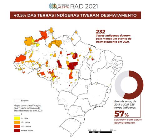 Mapbiomas Desmatamento No Brasil Cresceu Em