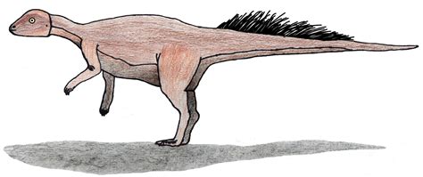 Dinovariety Micropachycephalosaurus Hongtuyanensis ``cabeza De Hongo``