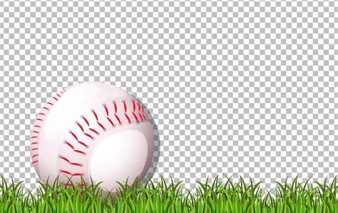 Baseball Grass Baseball Grass Grass Images Free Download On Freepik