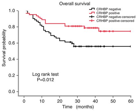 Kaplan Meier Survival Curves For Patients With Hcc Exhibiting High Or