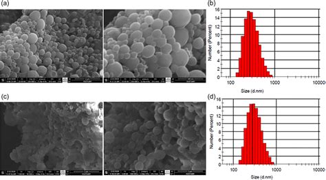 A C Sem Micrographs And B D Particle Size Distribution Of Plga‐np