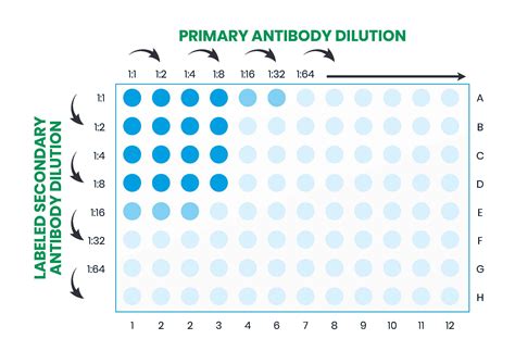 ELISA Assay Kit, ELISA Plate Reader and Plate Washer, Protocol♻️ ...