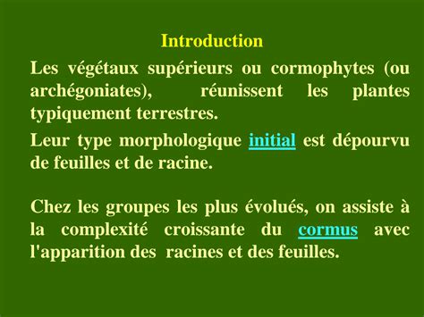 Solution Cours Des Cormophytes Studypool