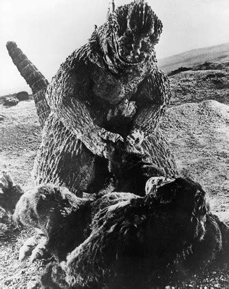 Godzilla King Kong Vs Godzilla 1962 Editorial Stock Photo - Stock Image | Shutterstock