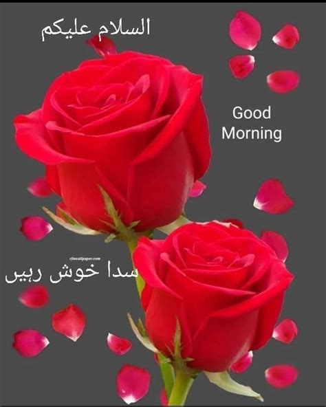 Pin By Surayifa On Asalaamu Alaikum Good Morning Flowers Good