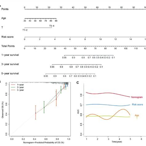 Construction And Evaluation Of The Prognostic Nomogram A The