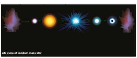 Science - Medium/Low Mass Star Lifecycle Diagram | Quizlet