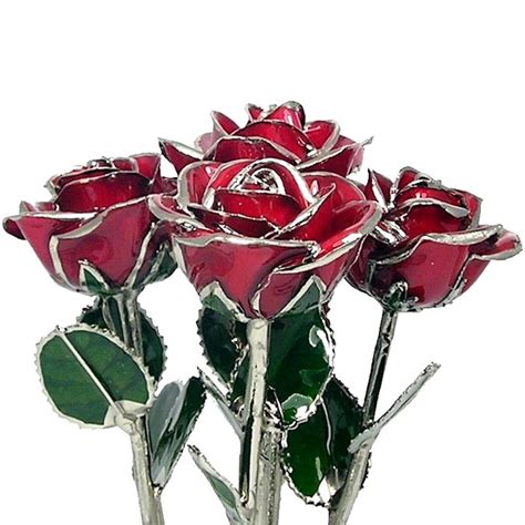 Silver Trimmed Roses Half Dozen 11 Rose Bouquet Love Is A Rose