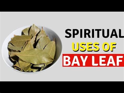 Unbelievable Spiritual Benefits Of Bay Leaves Spiritualtips YouTube