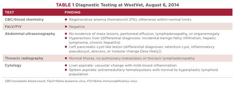 Nasal Lymphoma in a Cat | Today's Veterinary Nurse