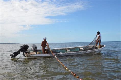 Fmam Y Gobierno De M Xico Impulsar N Proyecto De Pesca Sostenible Con