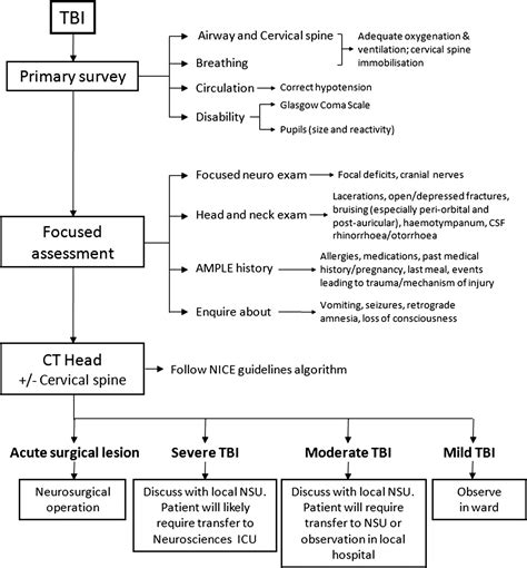 Traumatic Brain Injury In Adults Practical Neurology