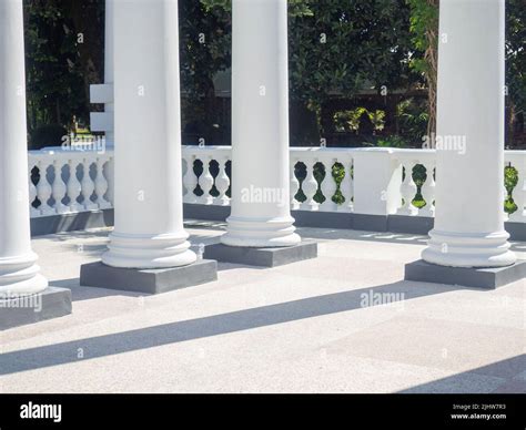 White Columns Modern Architecture Building In The Park Exterior