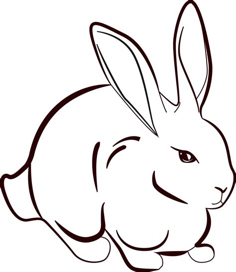 Rabbit Line Art