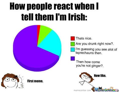 50 Of The Most Epic Irish Memes On The Internet Ever 2020