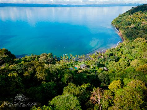 Golfo Dulce Un Paradisiaco Lugar Que Mezcla El Mar Y El Rainforest