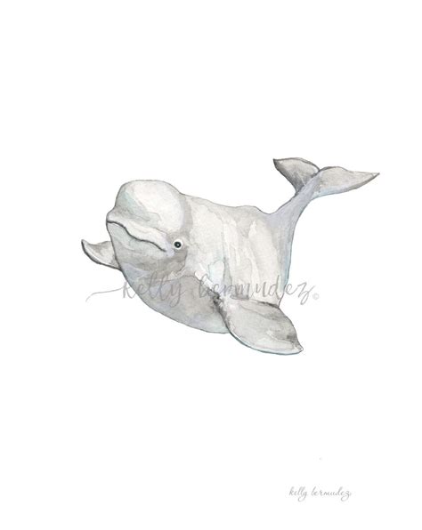 Beluga Whale, Whale Paiting, Watercolor, Printable Art, Printable ...