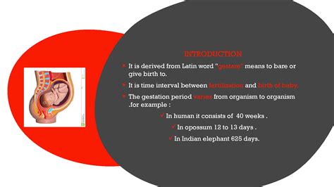 solution gestation period  studypool