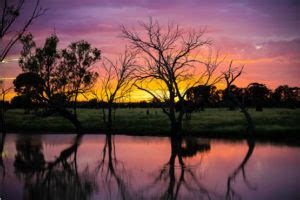 Condamine River - Western Downs Queensland