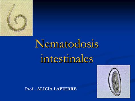 Ppt Nematodosis Intestinales Powerpoint Presentation Free Download Id2044752