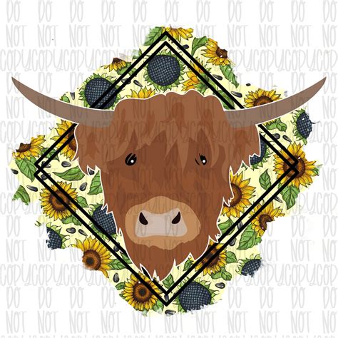 Sunflowers Highland Cow Sublimation Download Highland Cow Etsy