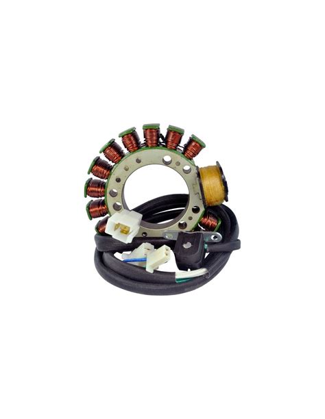 Stator Allumage Suzuki Dr Oem D