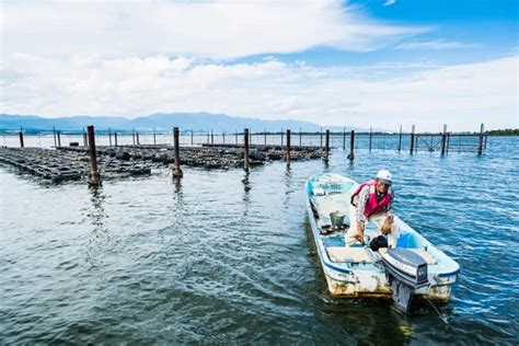 Muddy Waters The Battle To Save Japans Ailing Freshwater Pearl