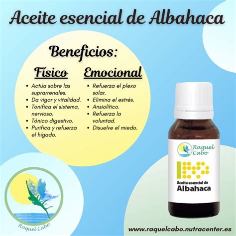 Aceite Esencial Albahaca Terapias Naturales