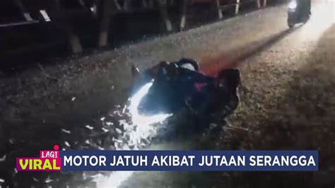 Pemotor Terjatuh Akibat Jalanan Licin Dipenuhi Jutaan Serangga Youtube