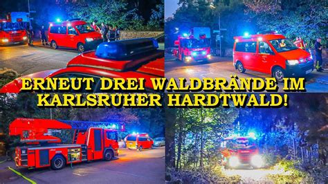 DREI WALDBRÄNDE IM KARLSRUHER HARDTWALD FEUERWEHR KARLSRUHE im