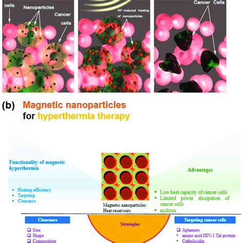 A Schematic Representation Of The Magnetic Hyperthermia Treatment