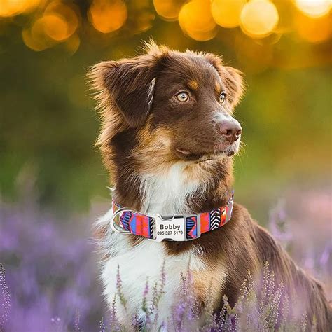 L Le Noir Collier De Chien Personnalis De Taille Large Anneau En