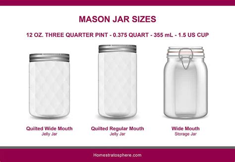 Mason Jar Sizes (Illustrated Guide)