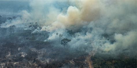 Inpe queimadas na Amazônia sobem 286 em fevereiro