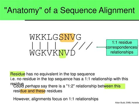 PPT Pairwise Alignments And Sequence Similarity Based Searching