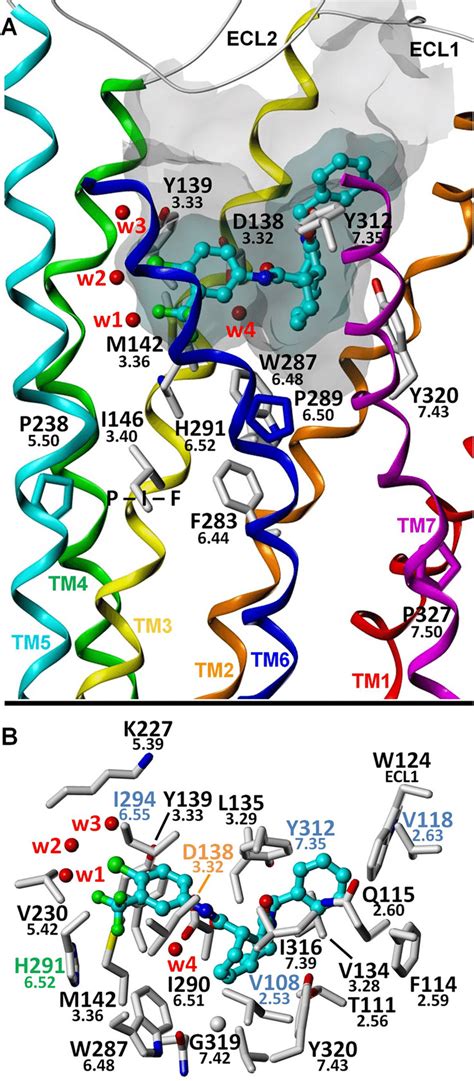 Proposed Binding Mode For 1xx A Putative Interaction Of 1xx With Met