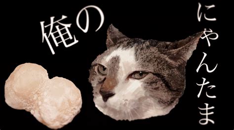 新感覚大福 俺のにゃんたま ～4種の猫で4つの味～ 増田おじさんのグルメ工房