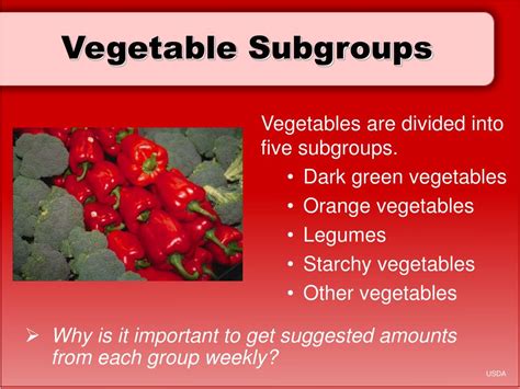 Ppt Chapter 15 Vegetables Powerpoint Presentation Free Download Id