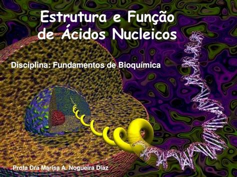 Pdf Cidos Nucleicos Aula Dokumen Tips