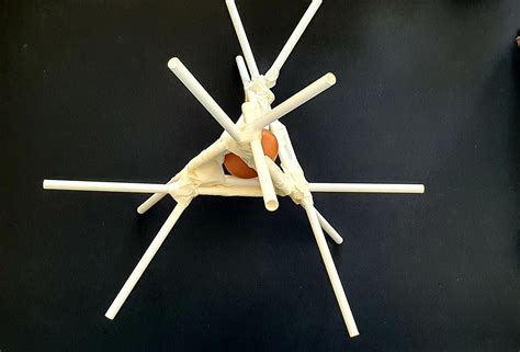 Egg Drop Project With Straws